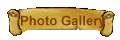 Photo Gallery