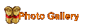 Photo Gallery
